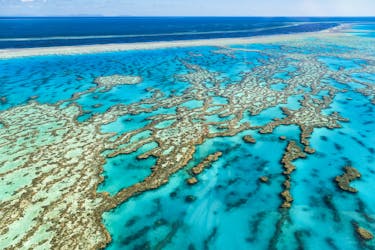 Snorkelervaring van een hele dag op het Great Barrier Reef